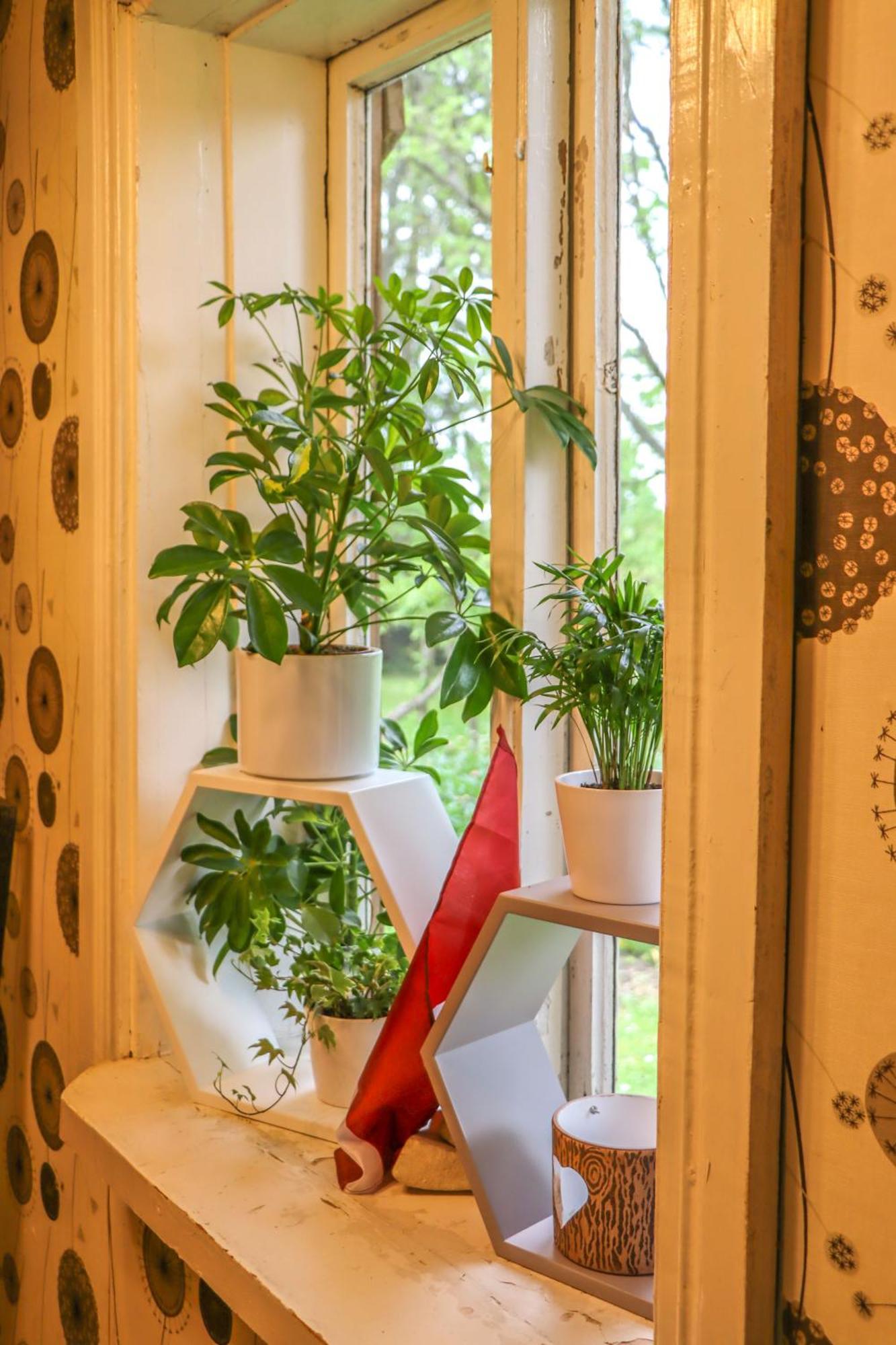 Hostal Lauku Viesu Maja Bajari Rucava Exterior foto